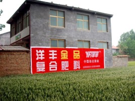 泸溪县如何让墙体广告展现最大化效果