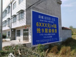泸溪县墙体广告质量分析