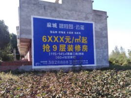 泸溪县品牌公司青睐的墙体广告